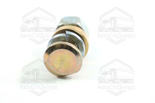 Палець ексцентриків ГАЗ 53(перед.зад.), 3308 66(задніх колодок) ПАЗ у зборі