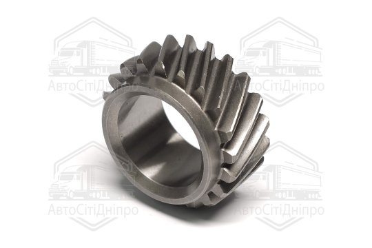 Шестерня колін.валу  Д-240, 243, 245 Z = 20 (вир-во України )