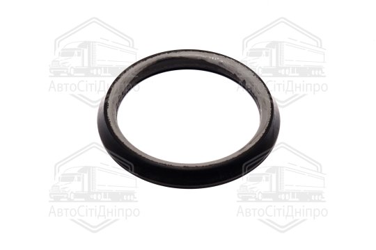 Пильовик черевика КАМАЗ