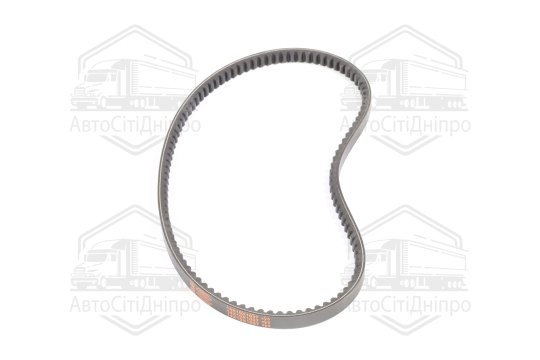 Ремінь 14х10х1037 зубч. ЯМЗ-236, 238, Т-142, ДВС А-01М <ДК>