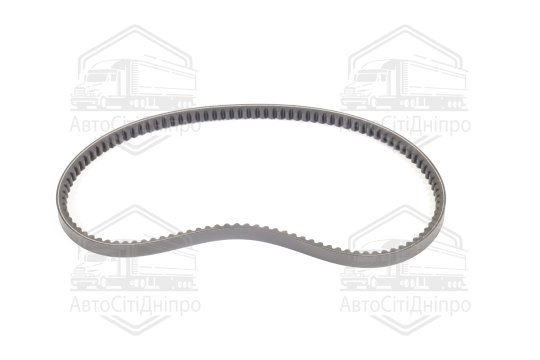 Ремінь 14х10х1037 зубч. ЯМЗ-236, 238, Т-142, ДВС А-01М <ДК>