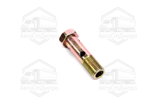 Болт-штуцер поворотного кутника (довж. 2 отв) <ДК>