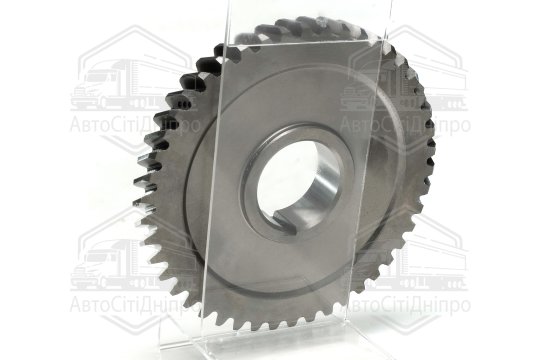 Шестерня приводу насоса оливи Д 240 Z=46 (старого зразку) <ДК>