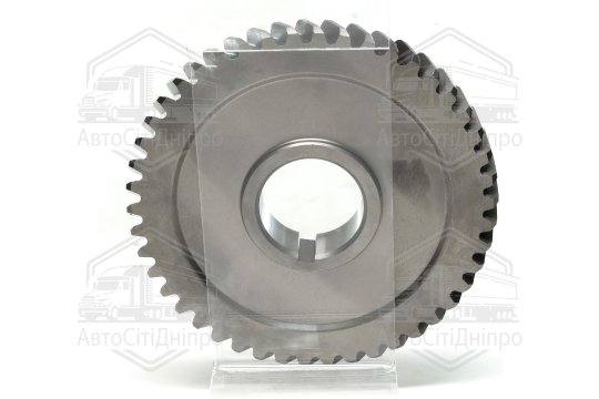 Шестерня приводу насоса оливи Д 240 Z=46 (старого зразку) <ДК>