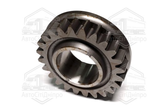 Шестерня валу первинного МТЗ (Z=24/20) <ДК>