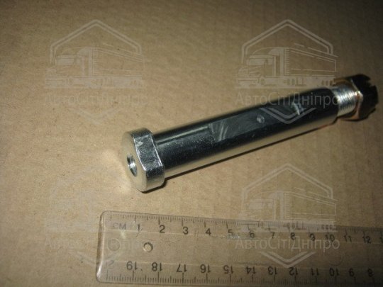 Палець ресори передньої Еталон, ТАТА Е1-Е4 d=20мм L=134мм (з гайкою) <ДК>