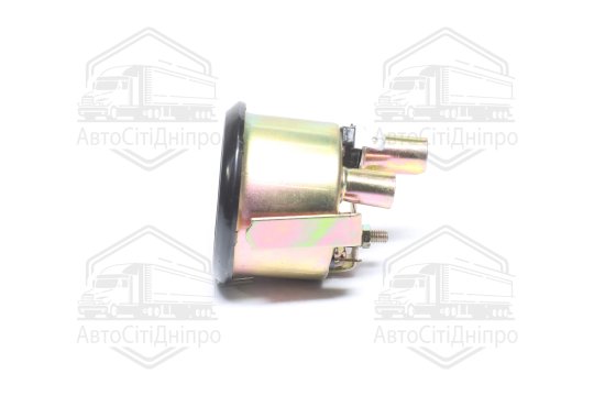 Вказівник температури води і масла МТЗ, МАЗ 12В <ДК>