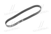 Ремінь поліклиновий (Вир-во BOSCH)