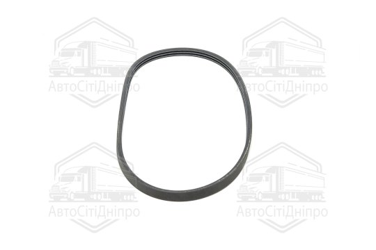 Поліклиновий ремінь (Вир-во Contitech)