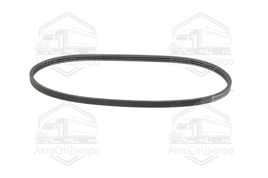 Поліклиновий ремінь (Вир-во Contitech)