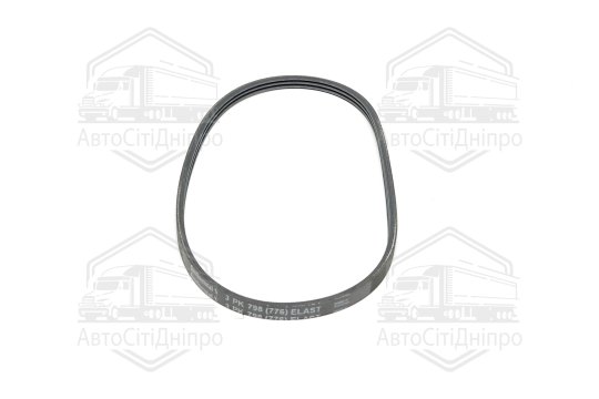 Поліклиновий ремінь (Вир-во Contitech)