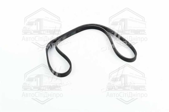 Полікліновий ремінь (Вир-во Contitech)