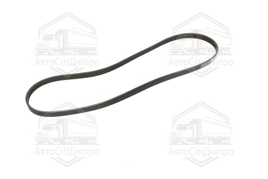 Полікліновий ремінь (Вир-во Contitech)