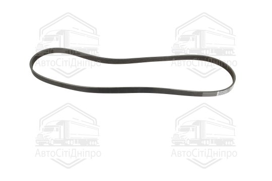 Полікліновий ремінь (Вир-во Contitech)