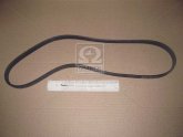 Ремінь полікліновий (Вир-во ContiTech)