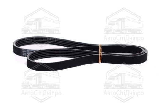 Ремінь поліклиновий (Вир-во Contitech)