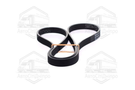 Ремінь поліклиновий (Вир-во Contitech)