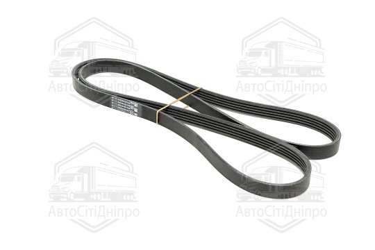 Поліклиновий ремінь (Вир-во Contitech)