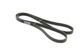 Поліклиновий ремінь (Вир-во Contitech)