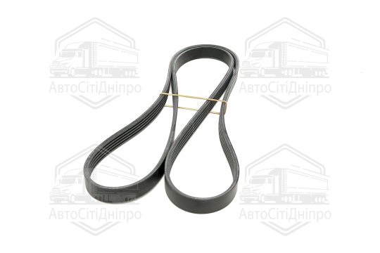 Поліклиновий ремінь (Вир-во Contitech)