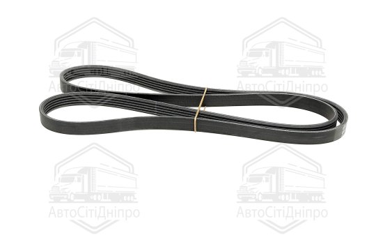Поліклиновий ремінь (Вир-во Contitech)