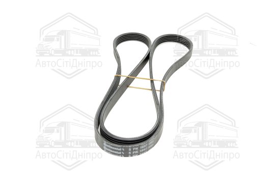 Поліклиновий ремінь (Вир-во Contitech)