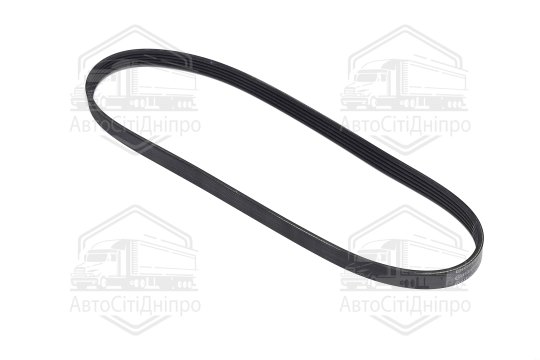 Ремінь поліклиновий (Вир-во Contitech)