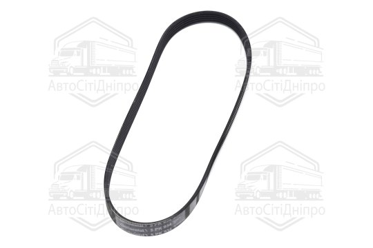 Ремінь поліклиновий (Вир-во Contitech)