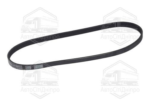 Ремінь поліклиновий (Вир-во Contitech)