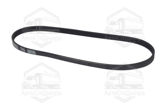 Ремінь поліклиновий (Вир-во Contitech)