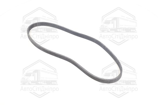 Полікліновий ремінь (Вир-во Contitech)