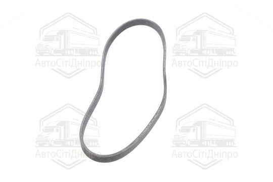 Полікліновий ремінь (Вир-во Contitech)