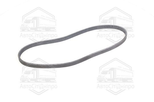 Полікліновий ремінь (Вир-во Contitech)