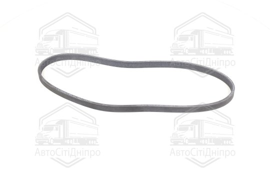 Полікліновий ремінь (Вир-во Contitech)