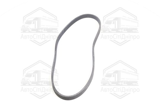 Полікліновий ремінь (Вир-во Contitech)