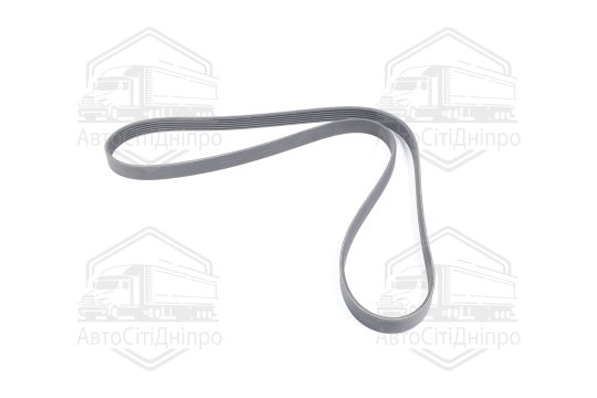 Полікліновий ремінь (Вир-во Contitech)