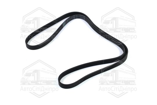 Ремінь полікліновий (Вир-во ContiTech)