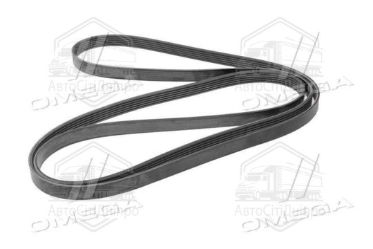 Поліклиновий ремінь (Вир-во Contitech)