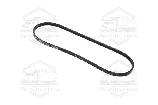 Полікліновий ремінь (Вир-во DAYCO)