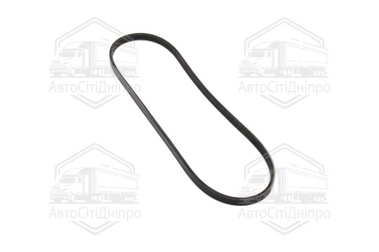 Полікліновий ремінь (Вир-во DAYCO)