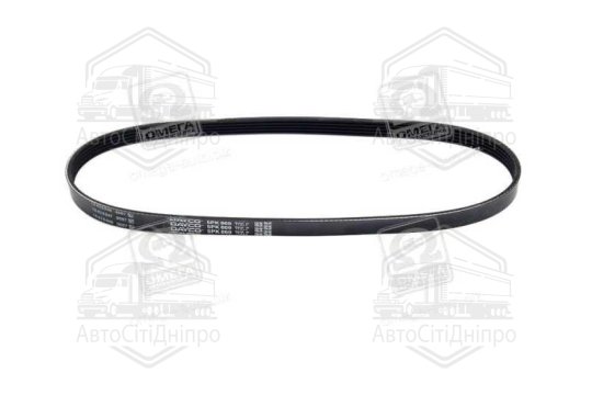 Ремінь поліклін. (вир-во DAYCO)