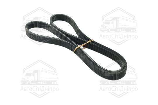 Ремінь поліклін. (вир-во DAYCO)