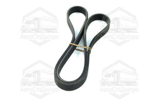 Ремінь поліклін. (вир-во DAYCO)