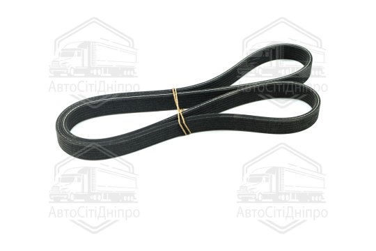 Ремінь поліклін. (вир-во DAYCO)