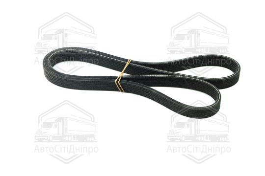 Ремінь поліклін. (вир-во DAYCO)