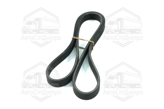 Ремінь поліклін. (вир-во DAYCO)