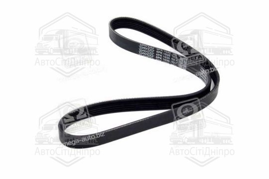 Ремінь поліклиновий  6PK1033 (ви-во DAYCO)