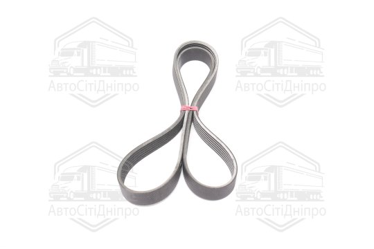 Ремінь поліклиновий (вир-во DAYCO)