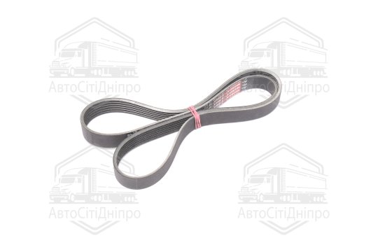 Ремінь поліклиновий (вир-во DAYCO)