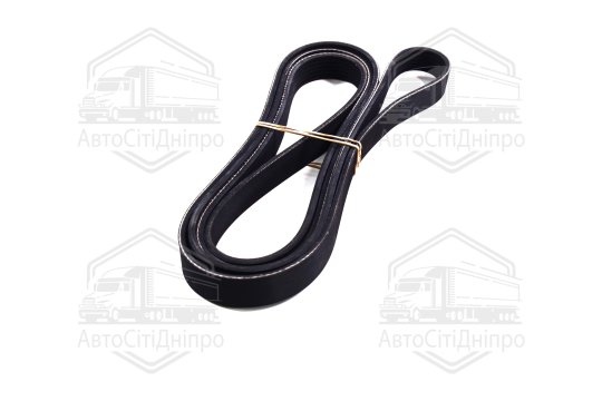 Ремінь полікліновий (Вир-во DAYCO)